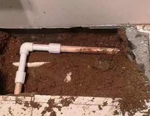 温宿测漏水哪家好