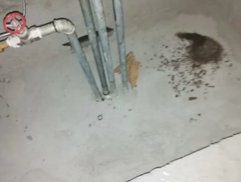 温宿卫生间测漏水价格明细