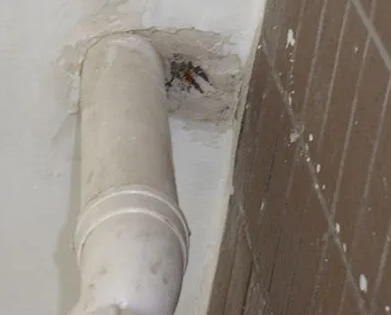 温宿漏水检测哪家好